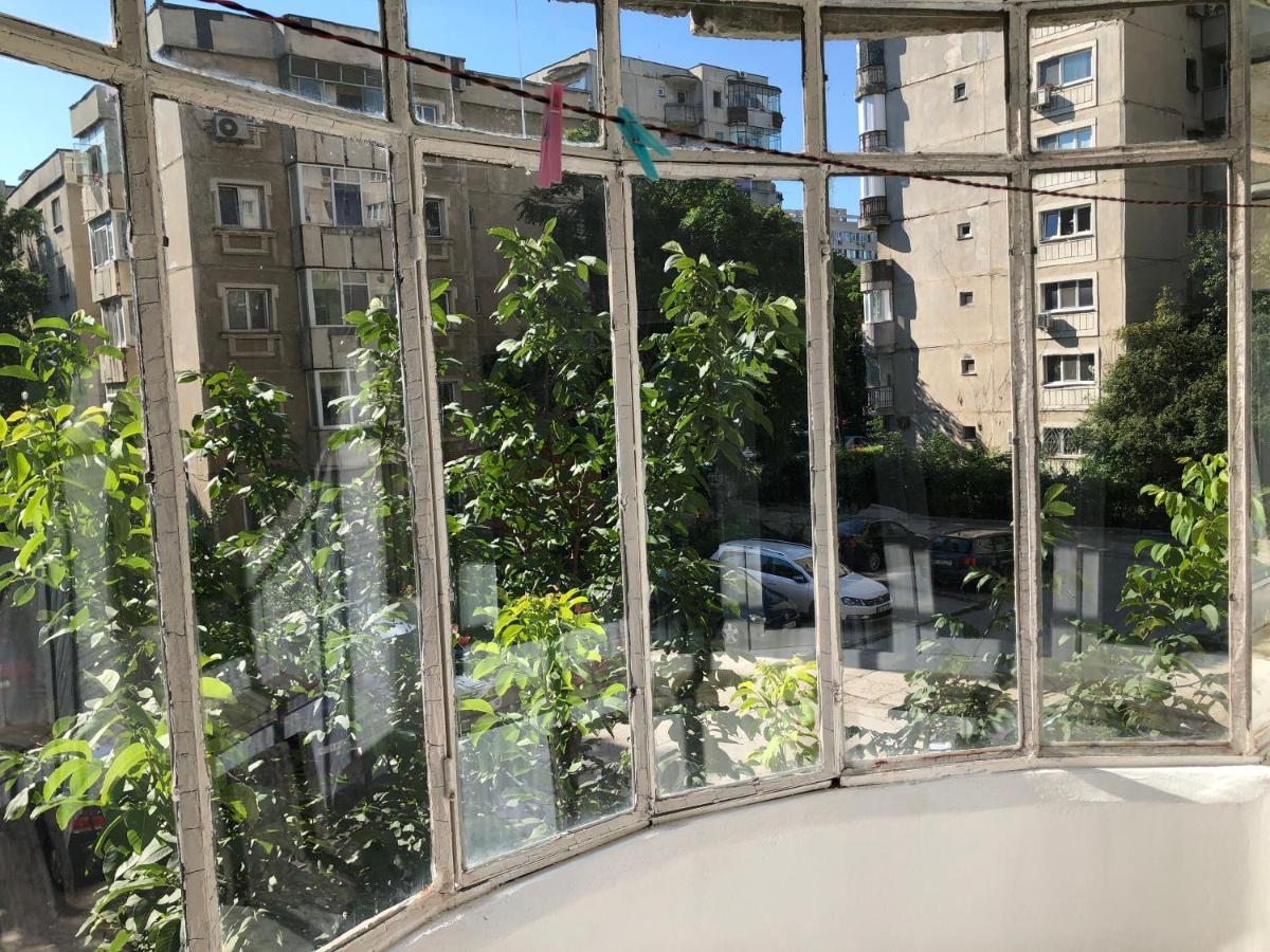 בוקרשט Le Garcon De Cristina-Simple,Quiet,Spacious Studio מראה חיצוני תמונה