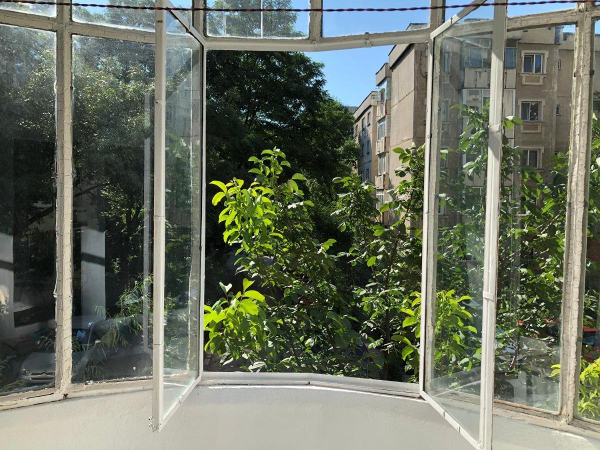 בוקרשט Le Garcon De Cristina-Simple,Quiet,Spacious Studio מראה חיצוני תמונה
